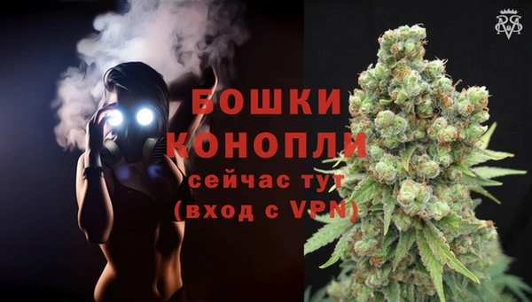 индика Лиски