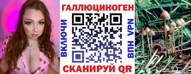 закладка Чухлома Галлюциногенные грибы GOLDEN TEACHER